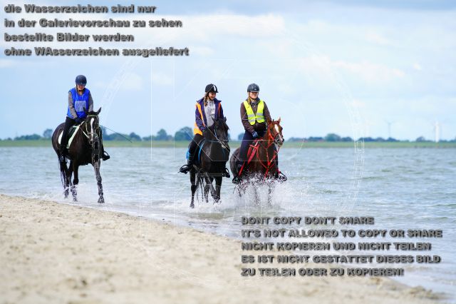 s_K3F05087.JPG